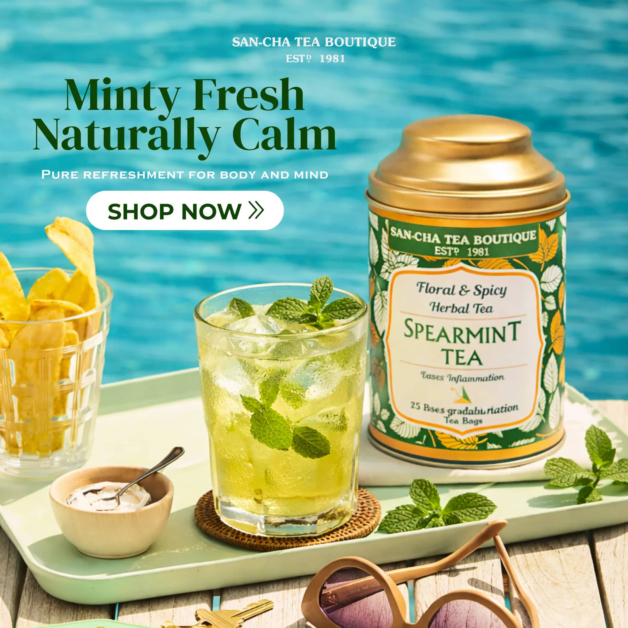 Spearmint tea ad creative produced for Meta Ads