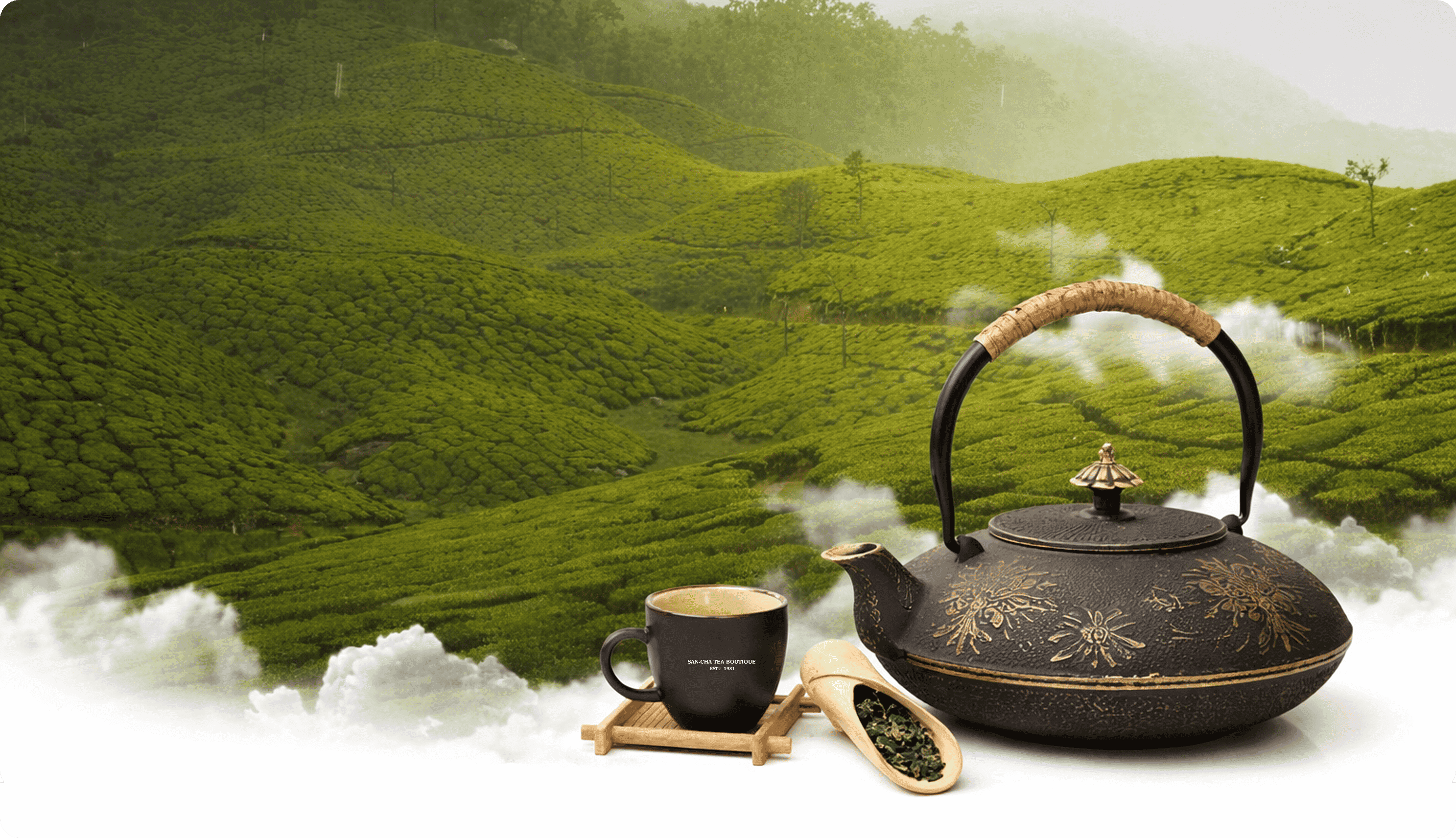 Sancha Tea case study hero