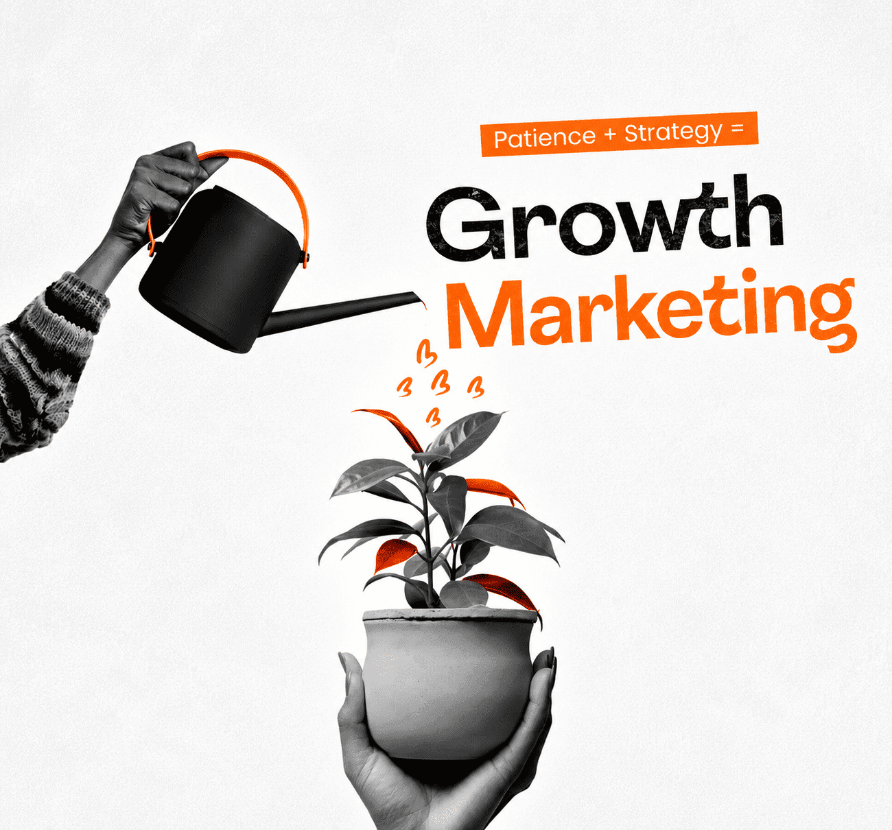 Digital marketing that gets talked about