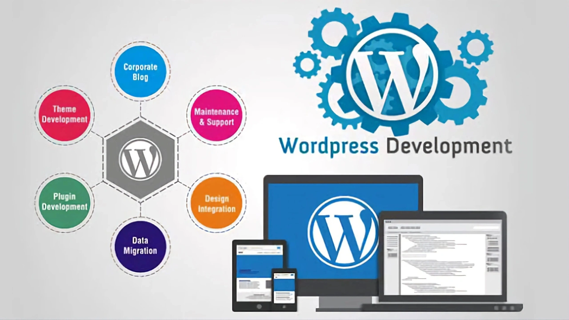 WordPress web development company